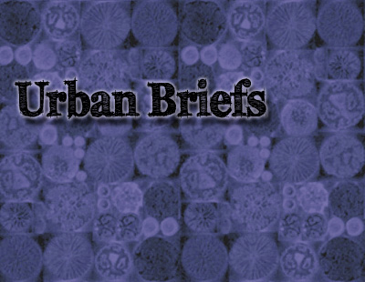 urban-briefs